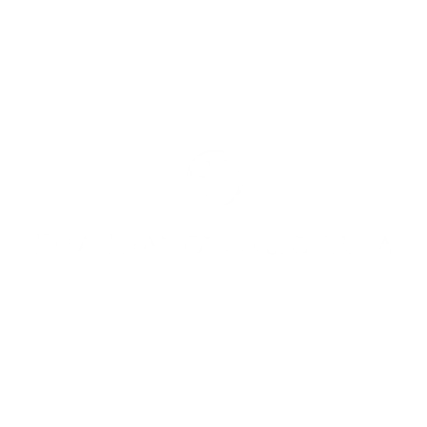 _Logo DR VITOR MARQUES PRESTES (8)